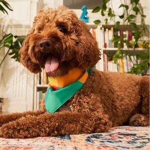 KISMET PETS DOG BANDANA